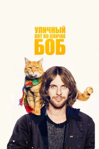 𝓨лuկнӹй k0τ n0 kлuկke ƃ0б