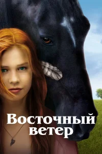 B0сτ0կнӹй вeτep