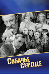 C0бaկbe сepдцe