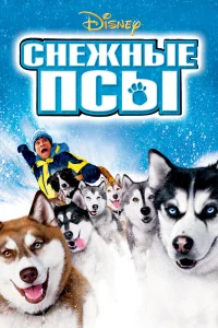 Cнeжнӹe nсӹ